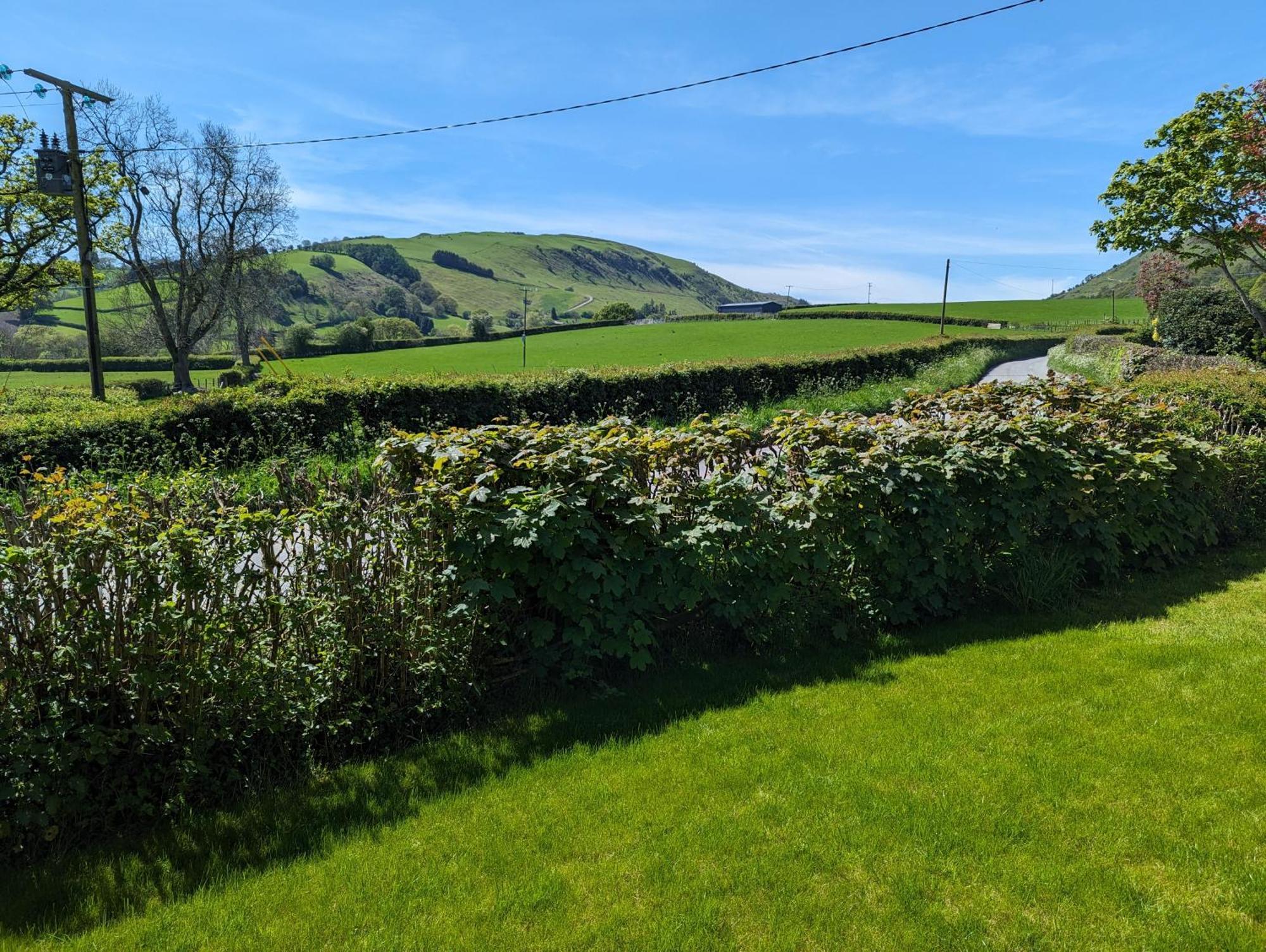 Sarn Y Glyn In Mid Wales Cambrian Mountains Near Llanidloes Powys Villa Caersws Dış mekan fotoğraf